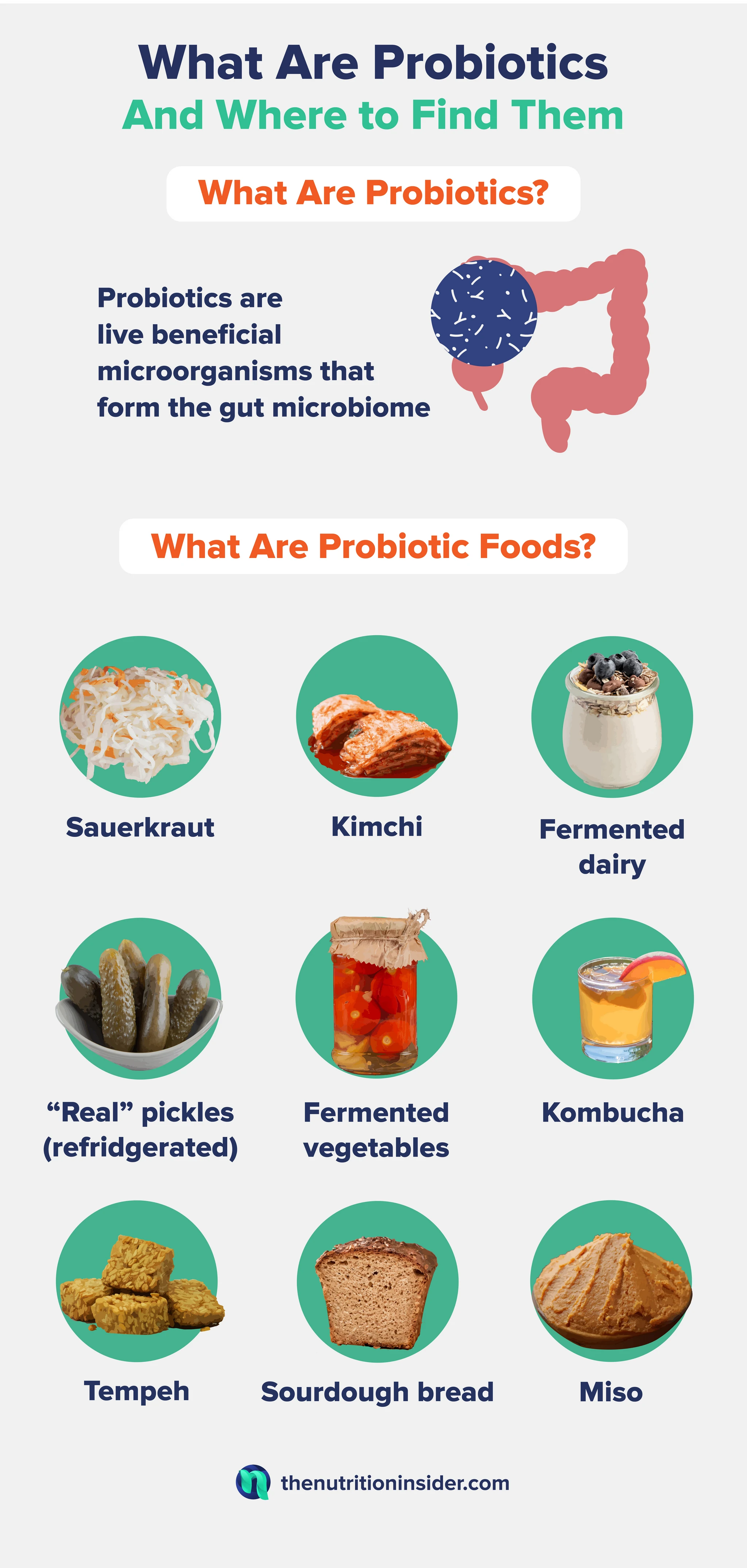 An infographic describing what probiotics are and where they can be found. 