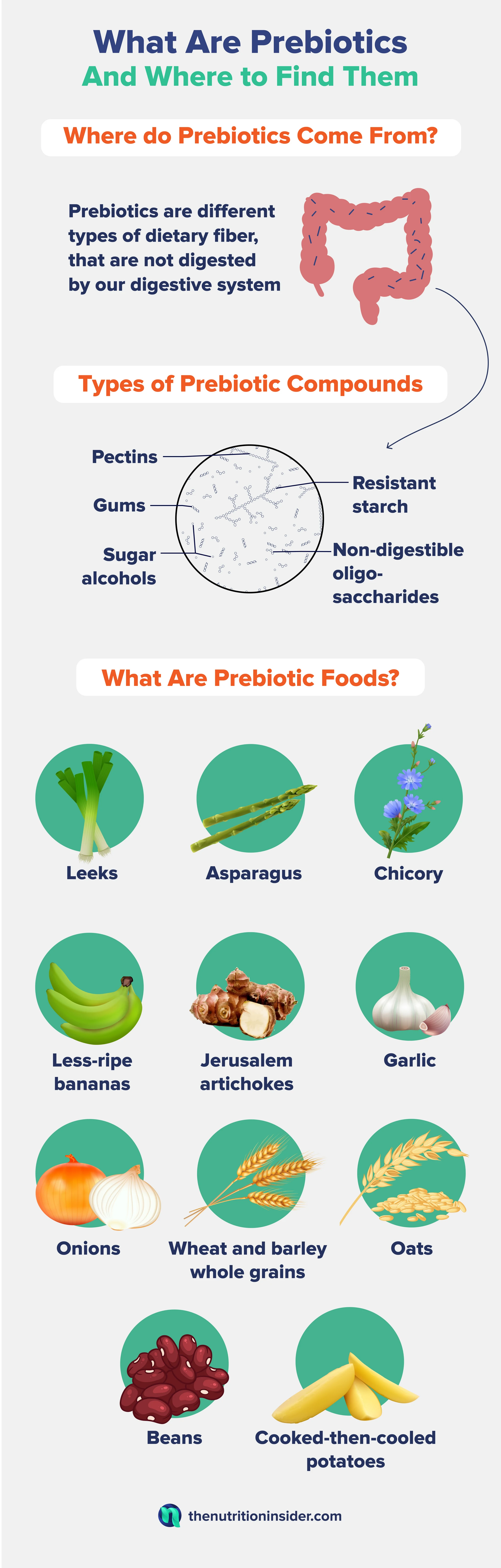 An infographic that describing what prebiotics are and where you can find.