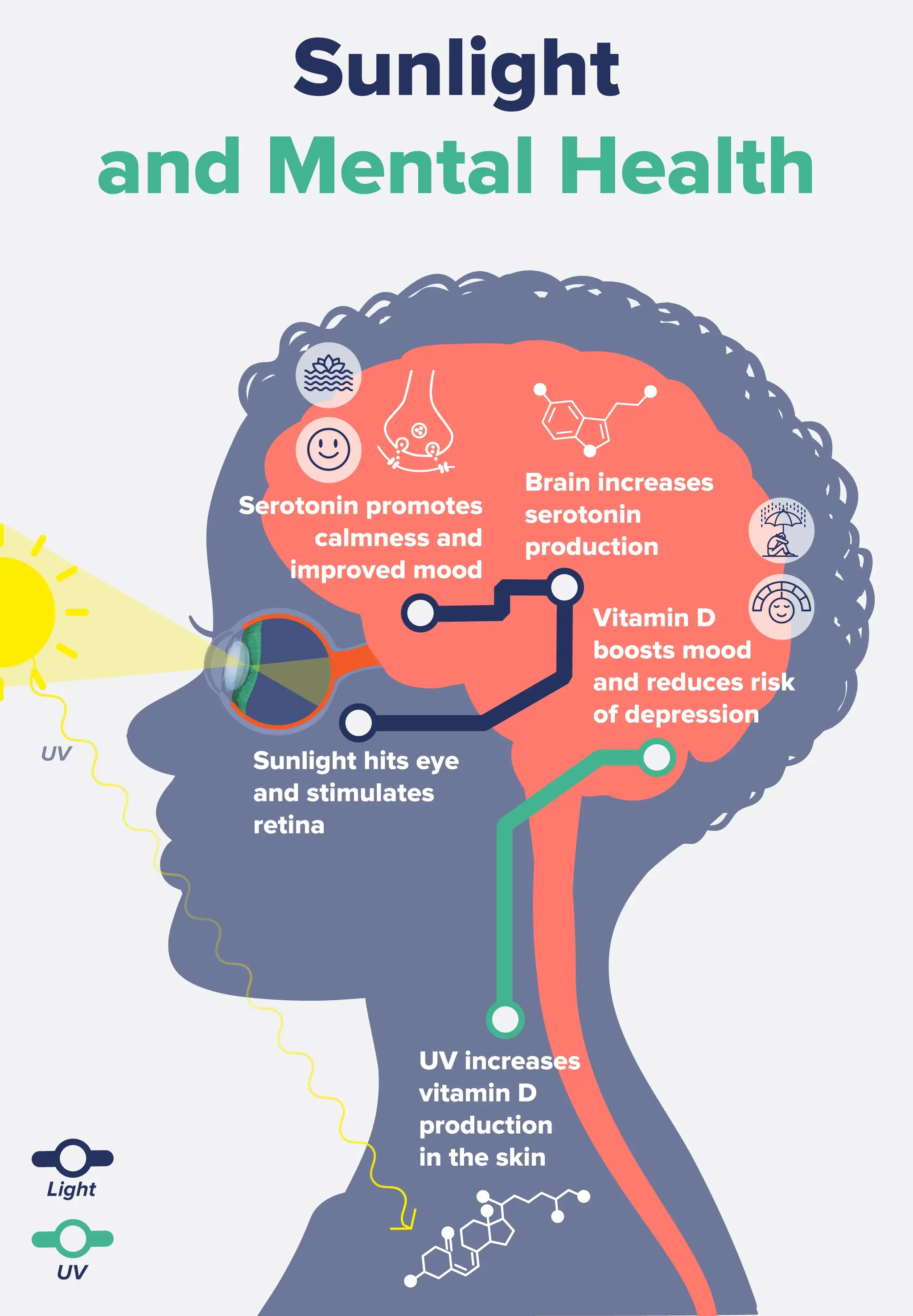 Infographic listing out the relationship aspects between sunlight and mental health.