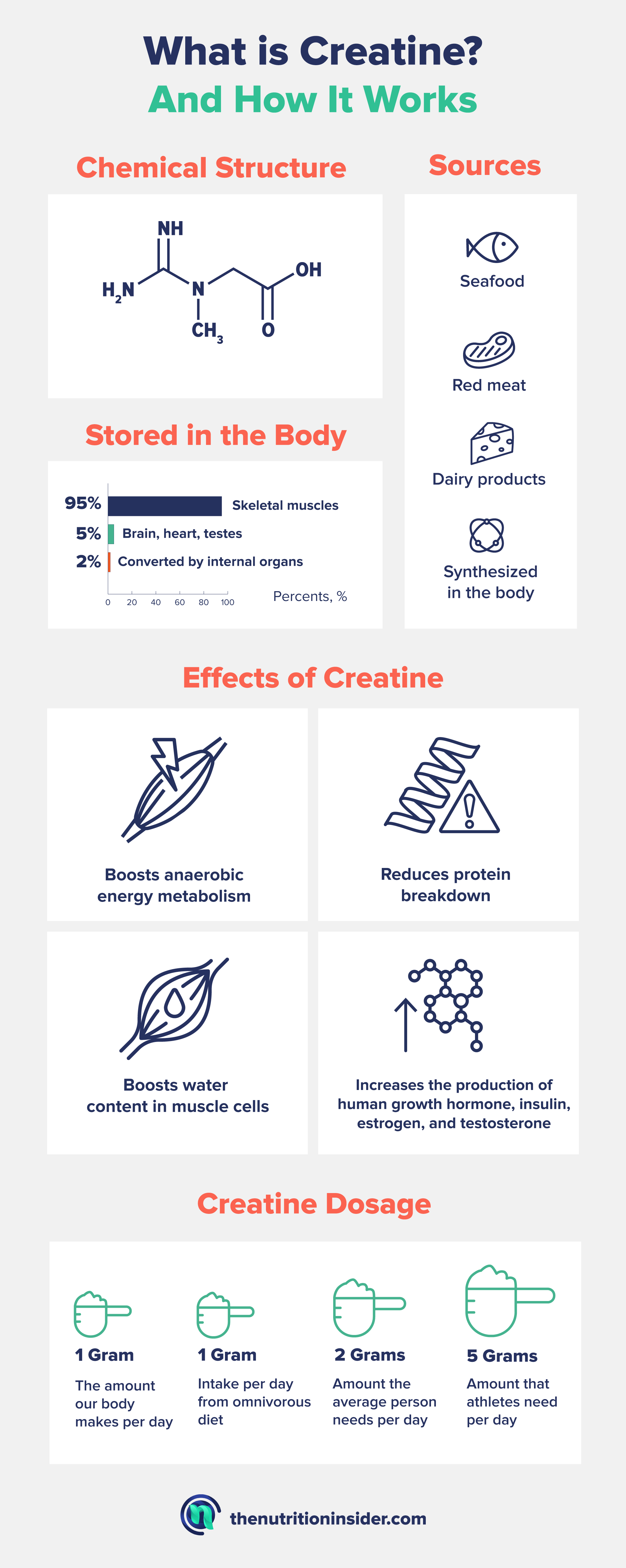 What is Creatine? And How it works