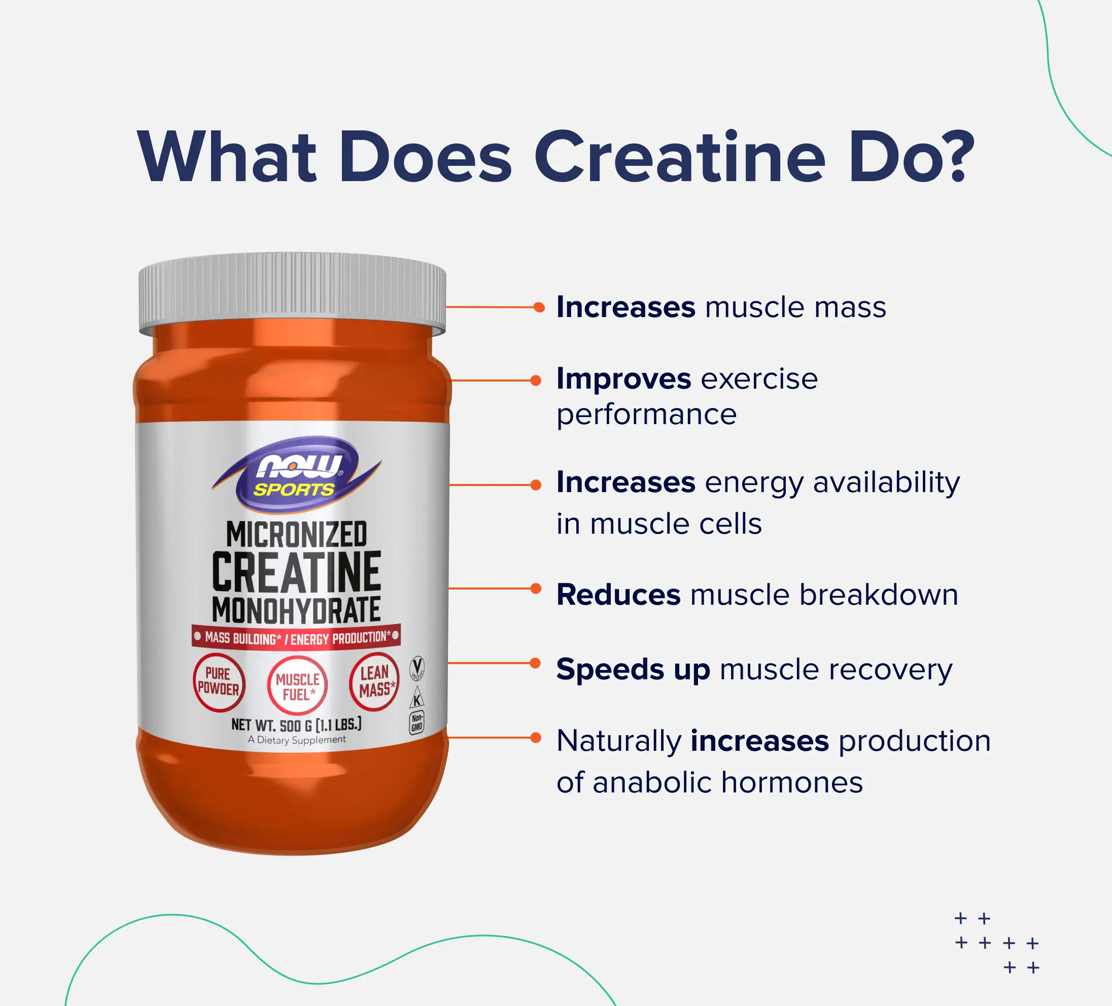 What does creatine do?- increases muscle mass- improves exercise performance- increases energy availability in muscle cells- reduces muscle breakdown- speeds up muscle recovery- naturally increases production of anabolic hormones