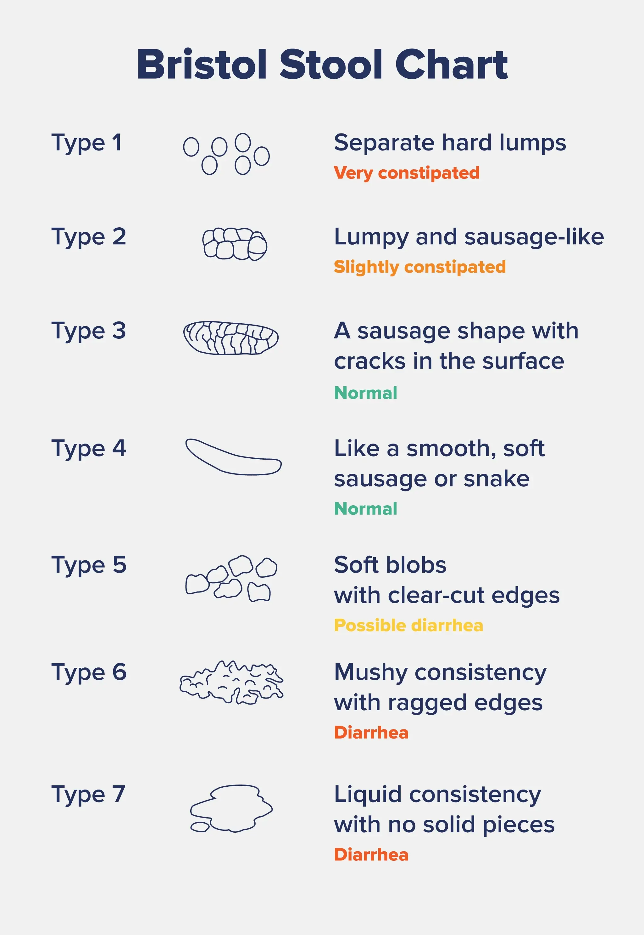 An infographic breaking down the Bristol stool chart.