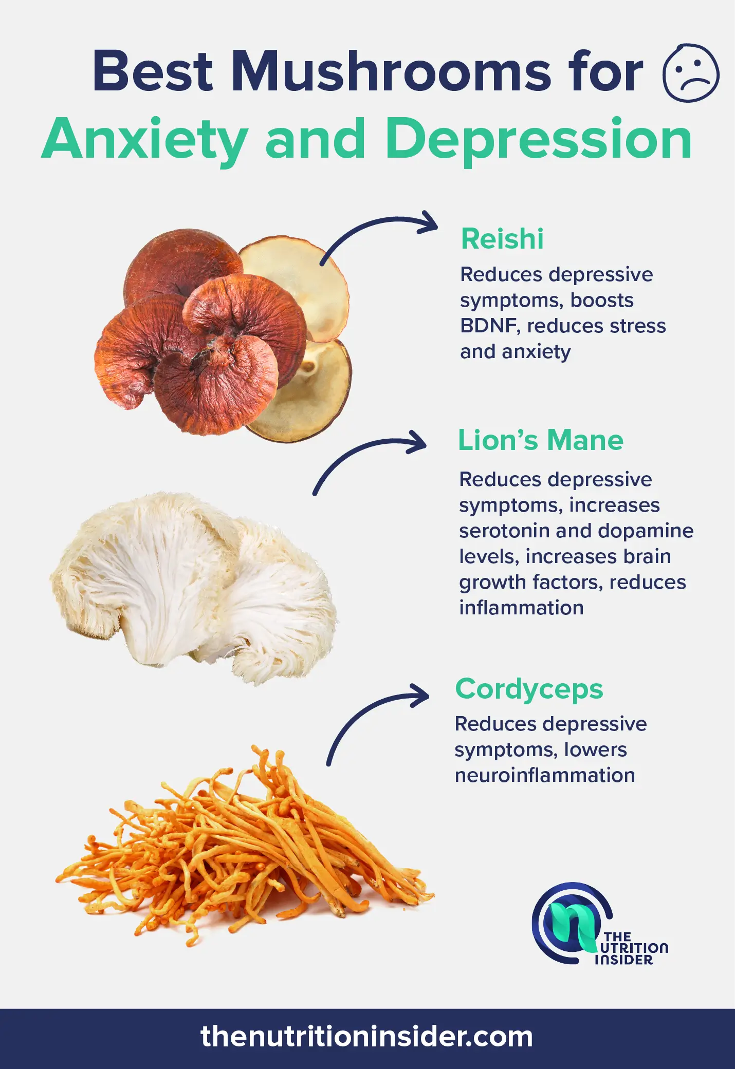 Best Mushrooms for Anxiety and Depression- Reishi- Lion's Mane- Cordyceps