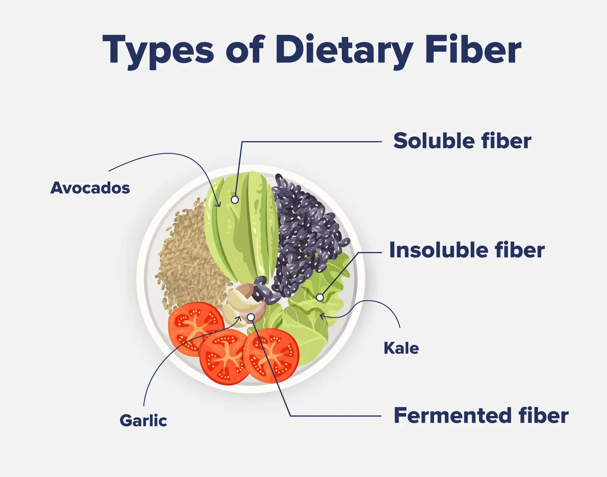 Infographic listing out the different types of dietary fiber.