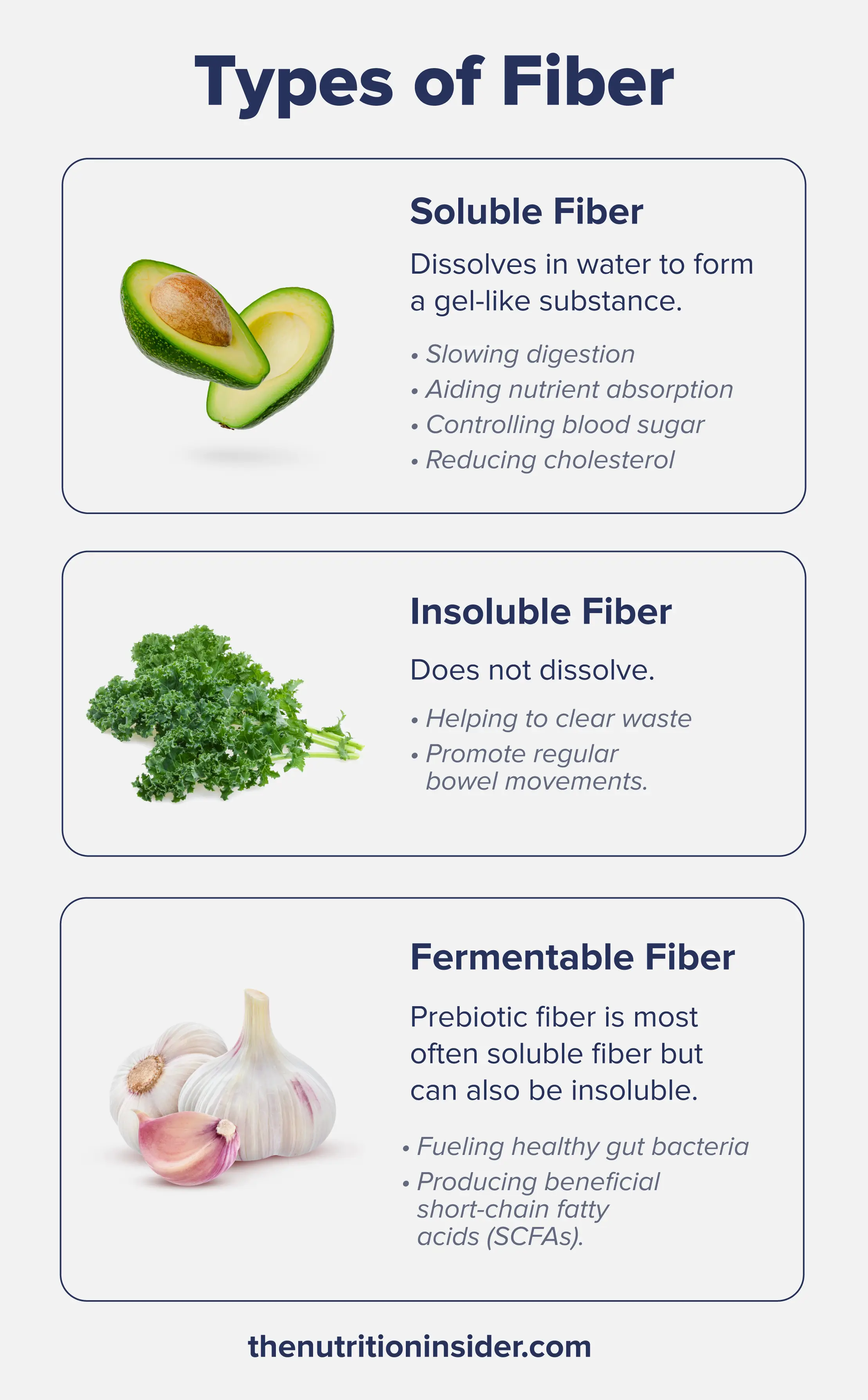 An infographic listing the different types of Fiber.