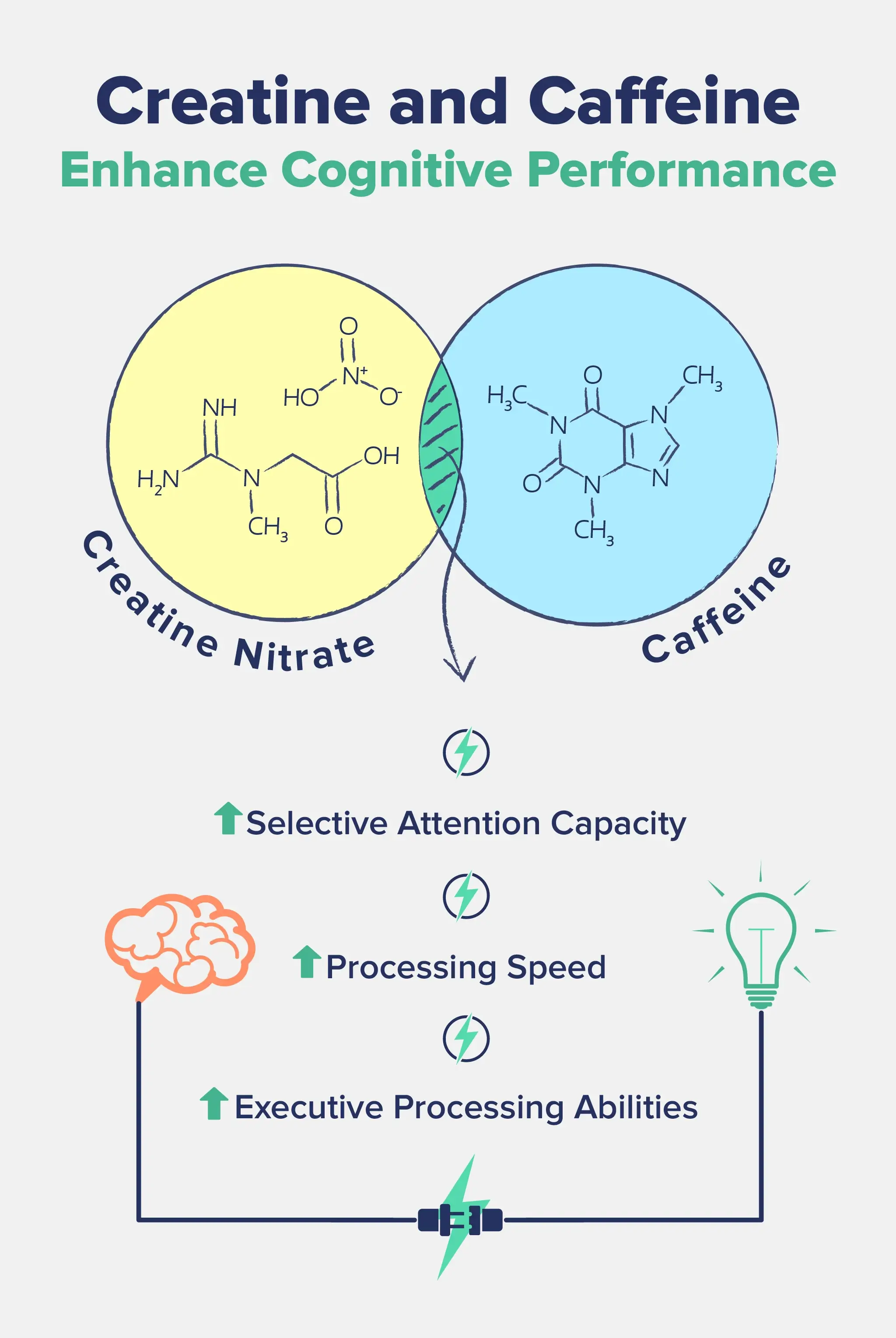 The infographic titled "Creatine and Caffeine Enhance Cognitive Performance" shows a Venn diagram with "Creatine Nitrate" and "Caffeine" circles, highlighting their combined benefits. 