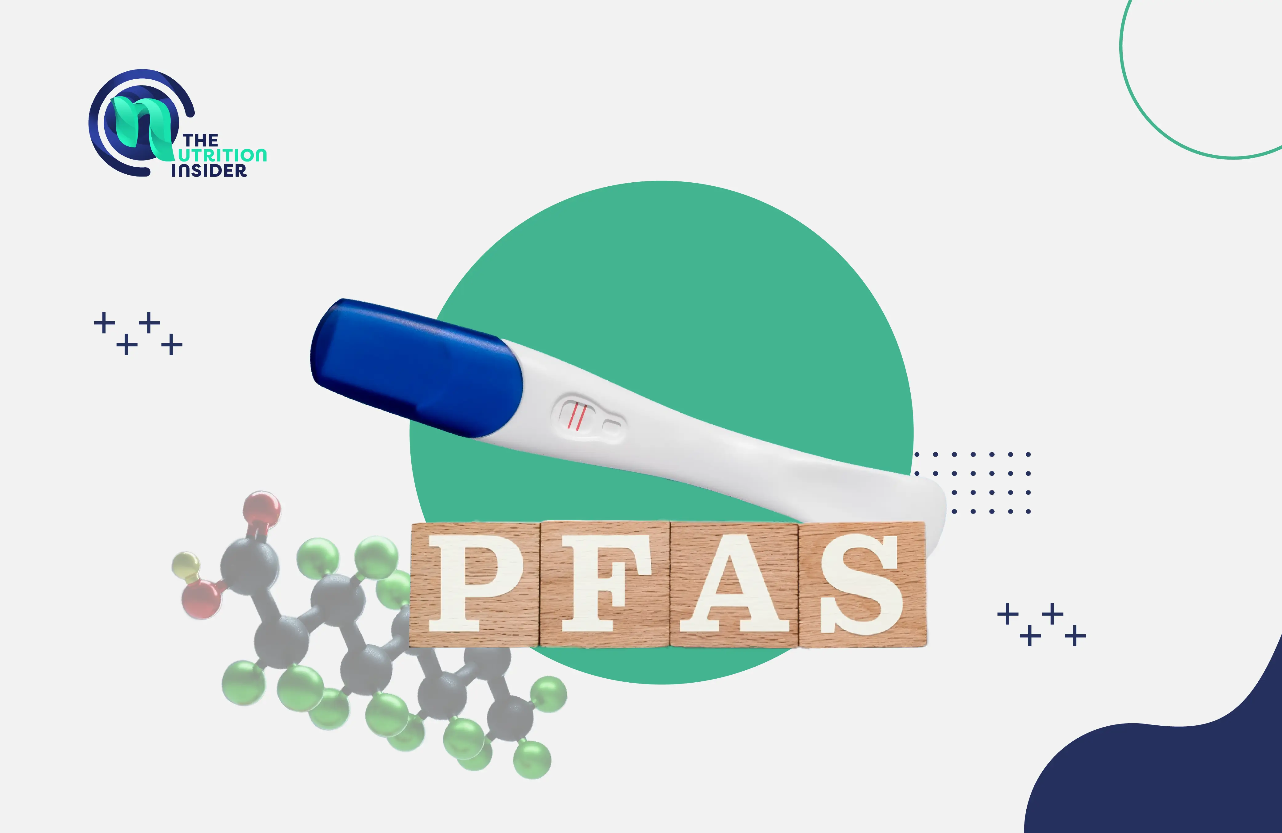 How PFAS “Forever Chemicals” Affect Fertility of Males and Health of Their Offspring