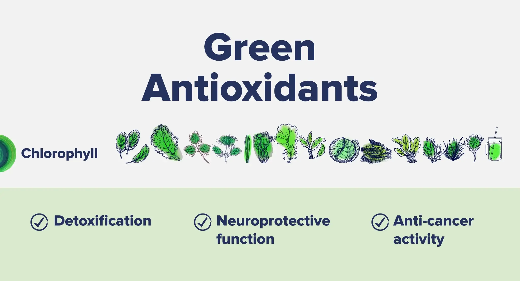 An infographic listing green foods with antioxidants and their benefits.