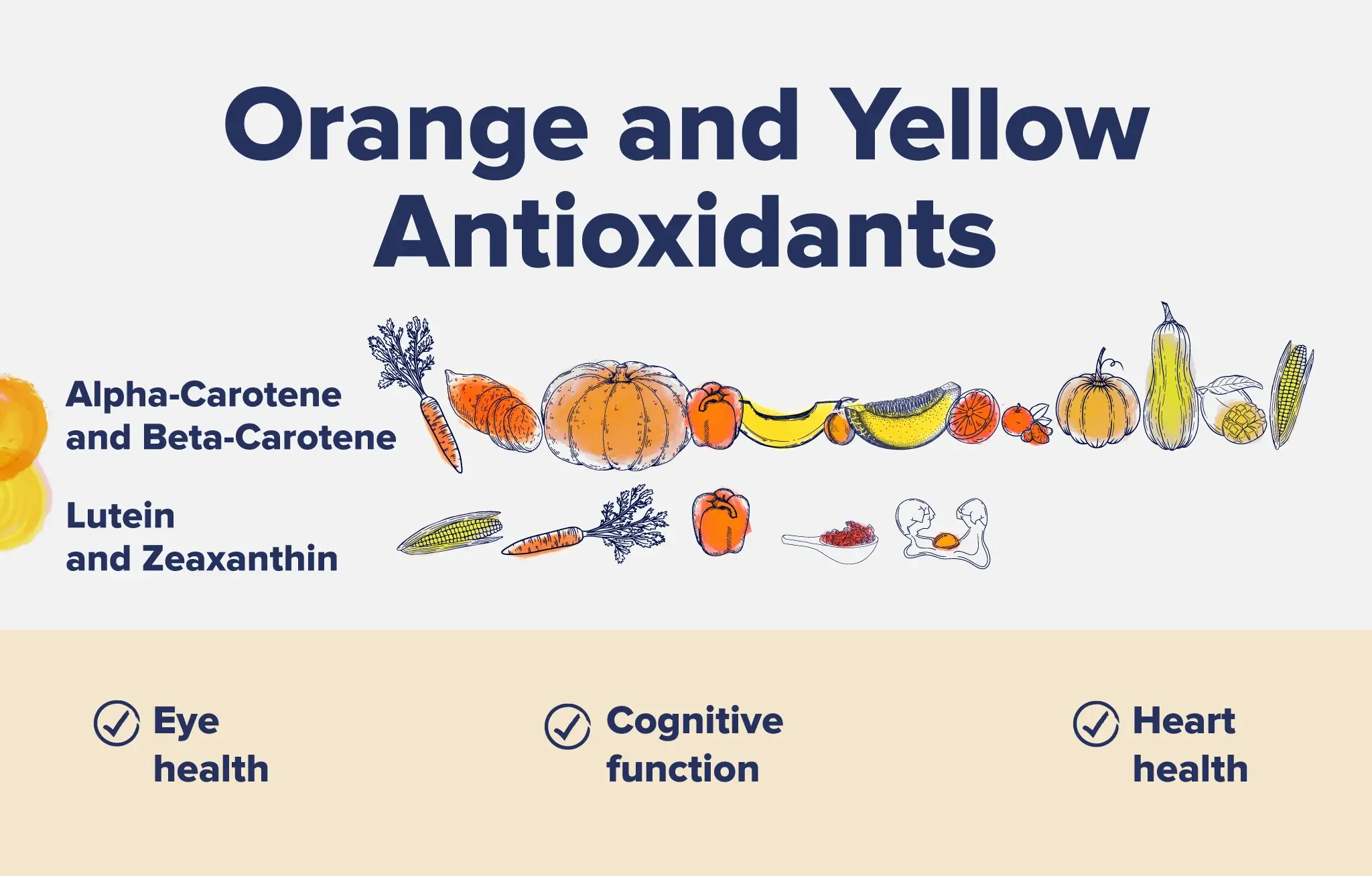 An infographic listing orange and yellow foods with antioxidants and their benefits.