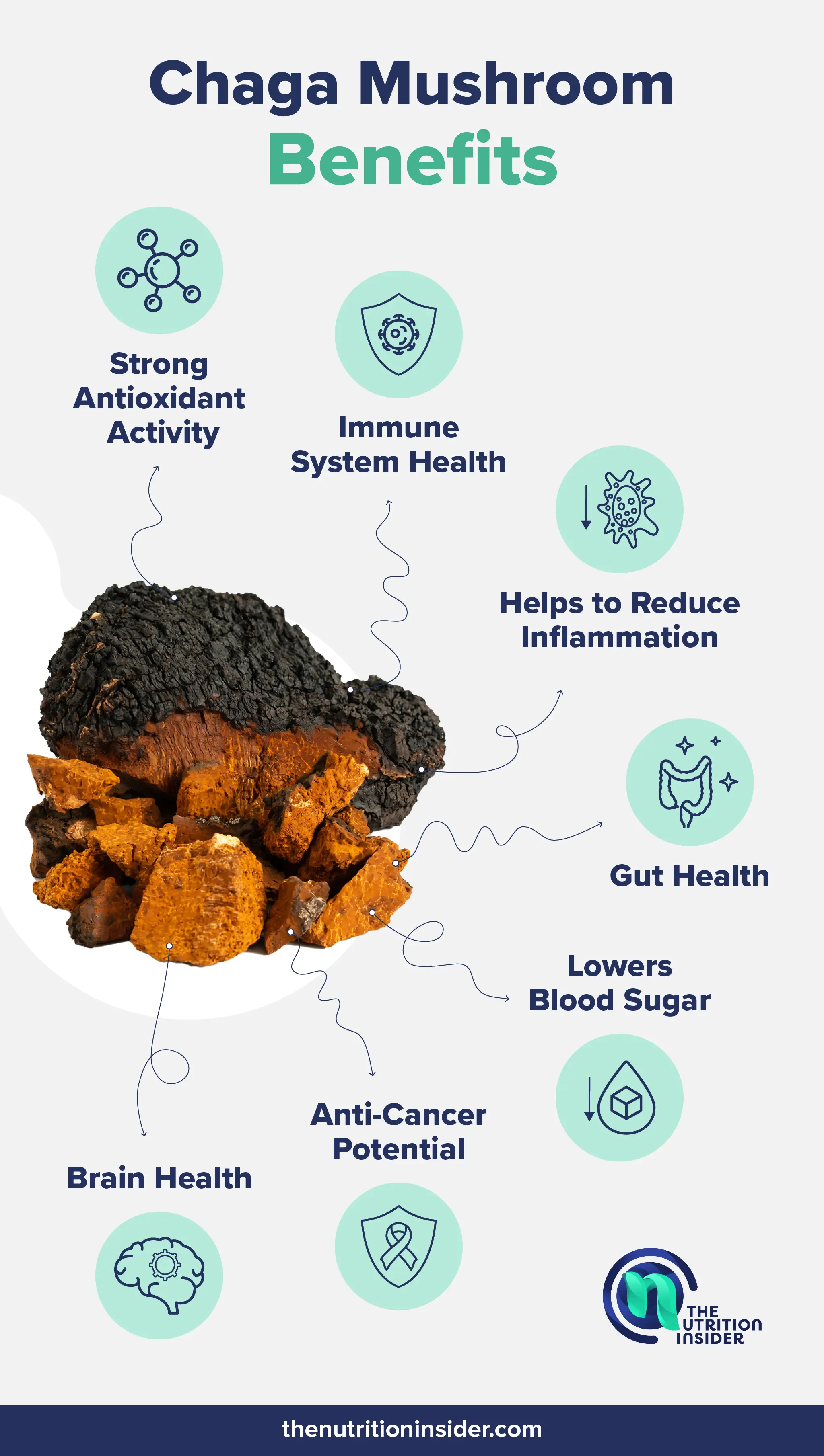 An infographic listing out the main health benefits of chaga mushrooms. 