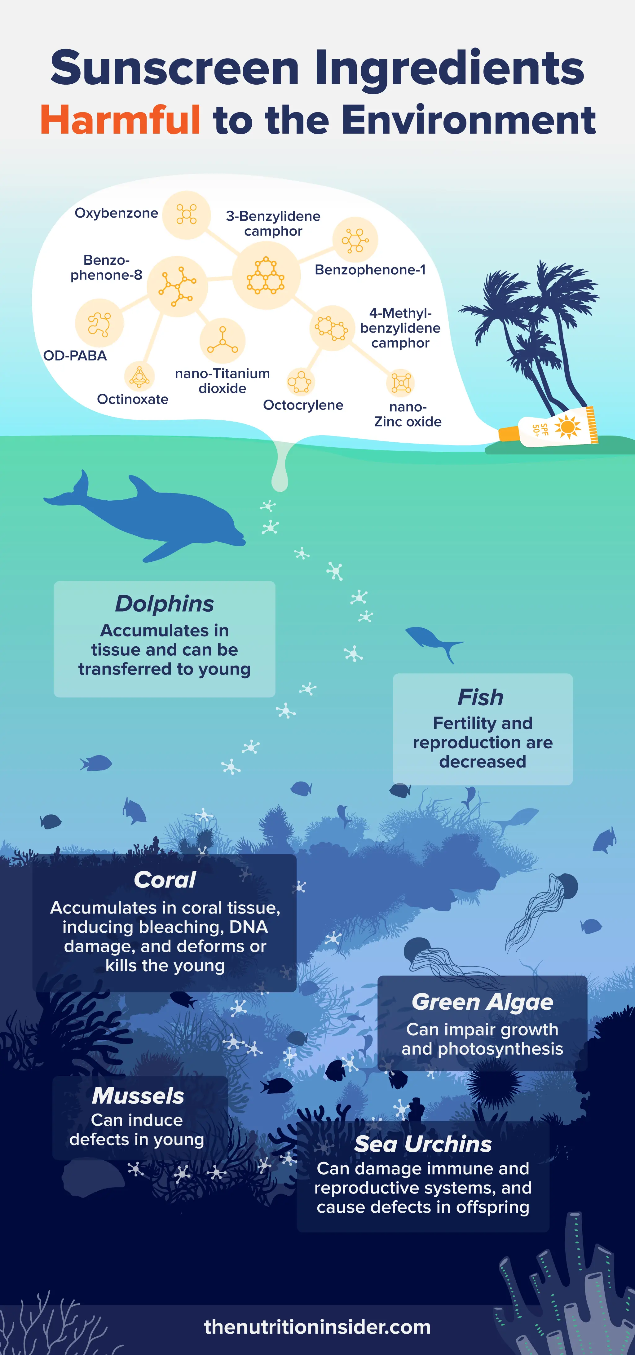 An infographic listing out sunscreen ingredients that are harmful to the environment. 