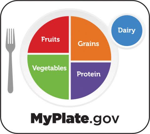 A logo for MyPlate.gov breaking down a healthy meal by food type. 