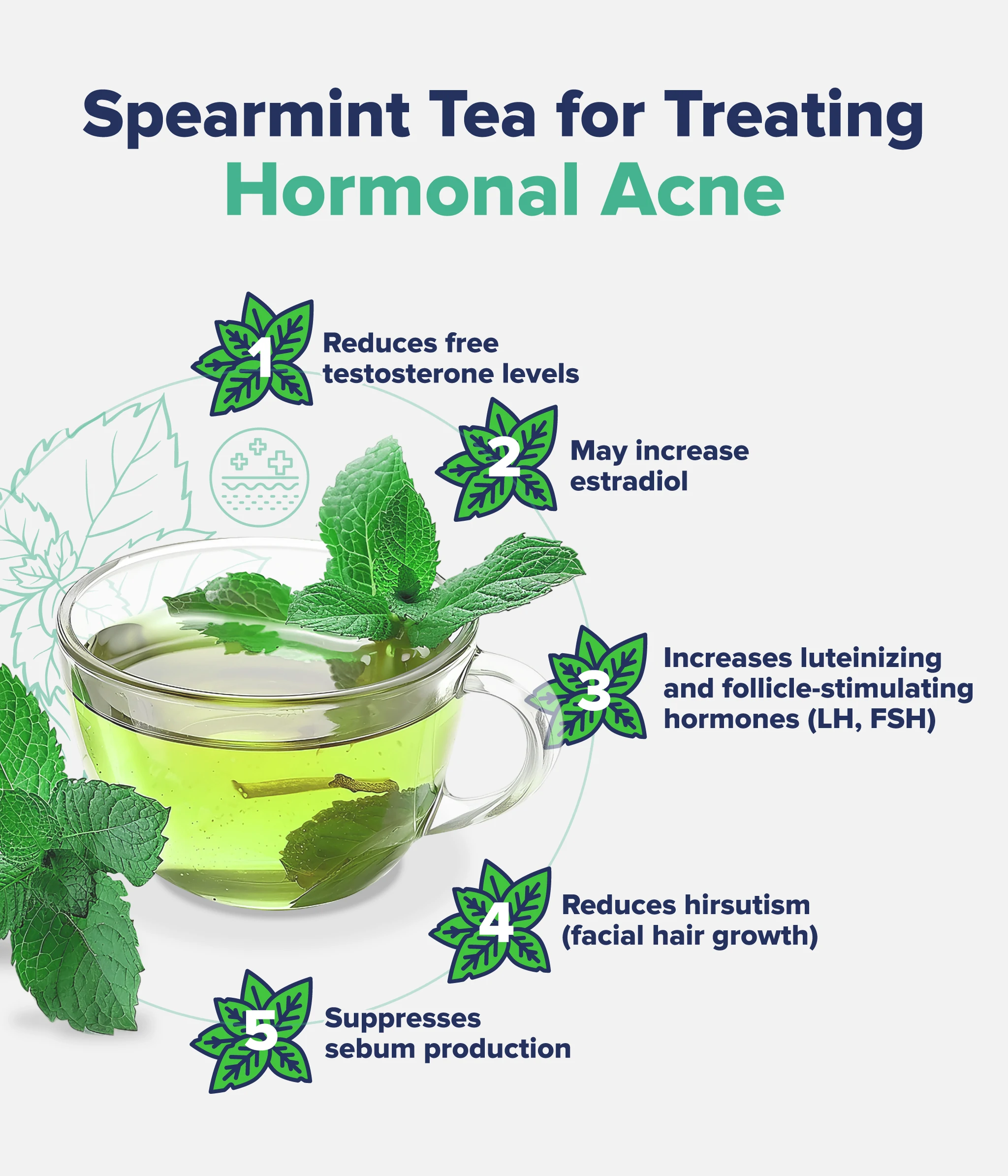 An infographic listing out the ways spearmint can be used to treat acne. 