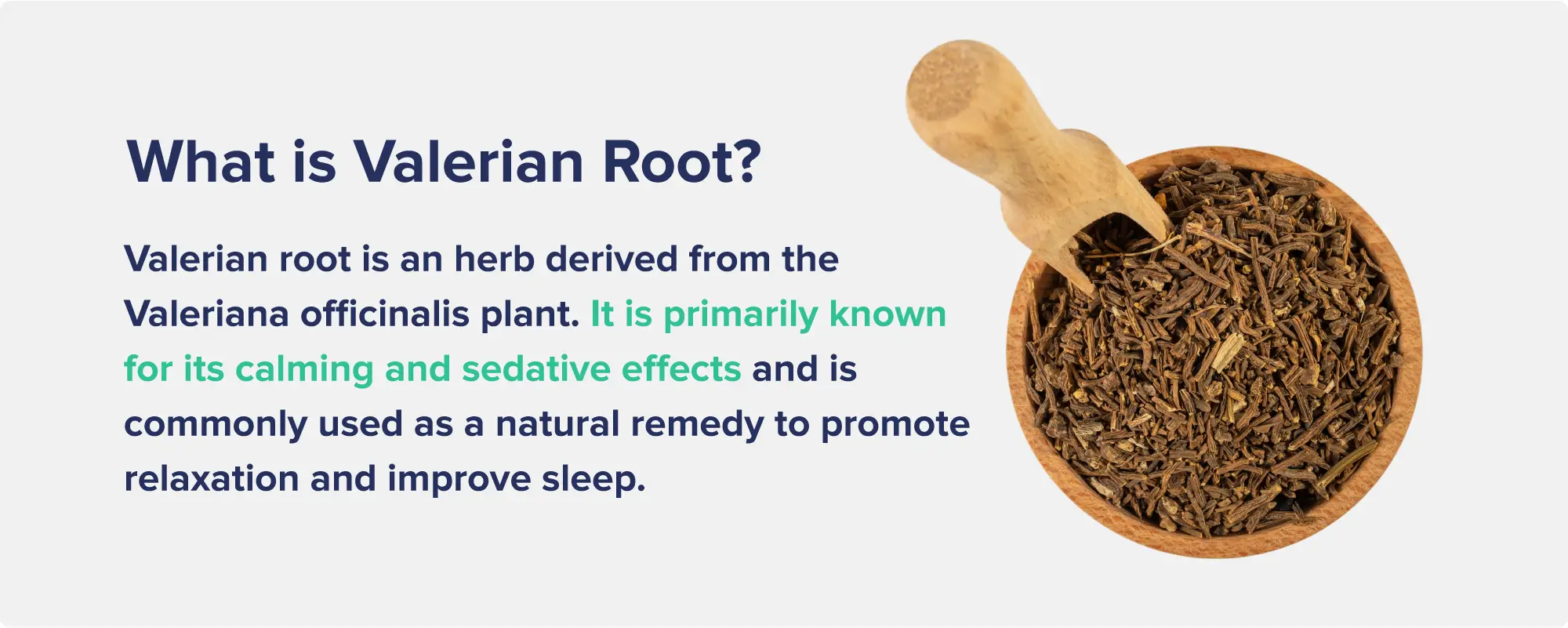 What Is Valerian Root?