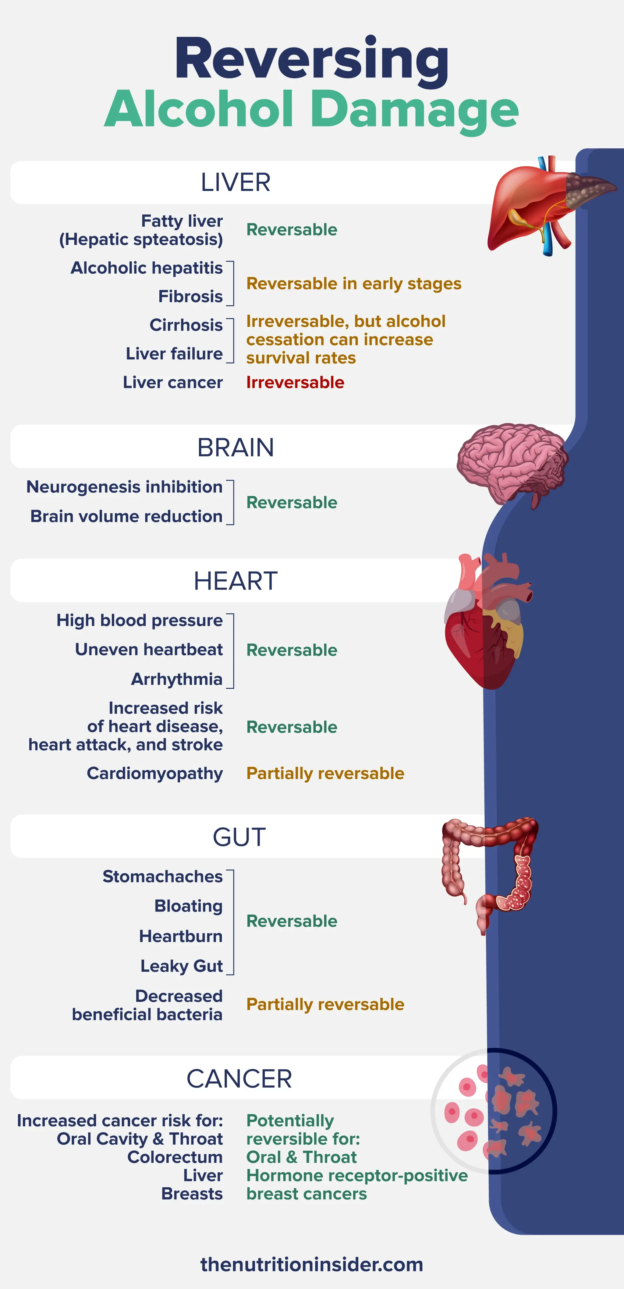 An infographic listing the damage alcohol can cause to your body and whether or not it is reversible. 