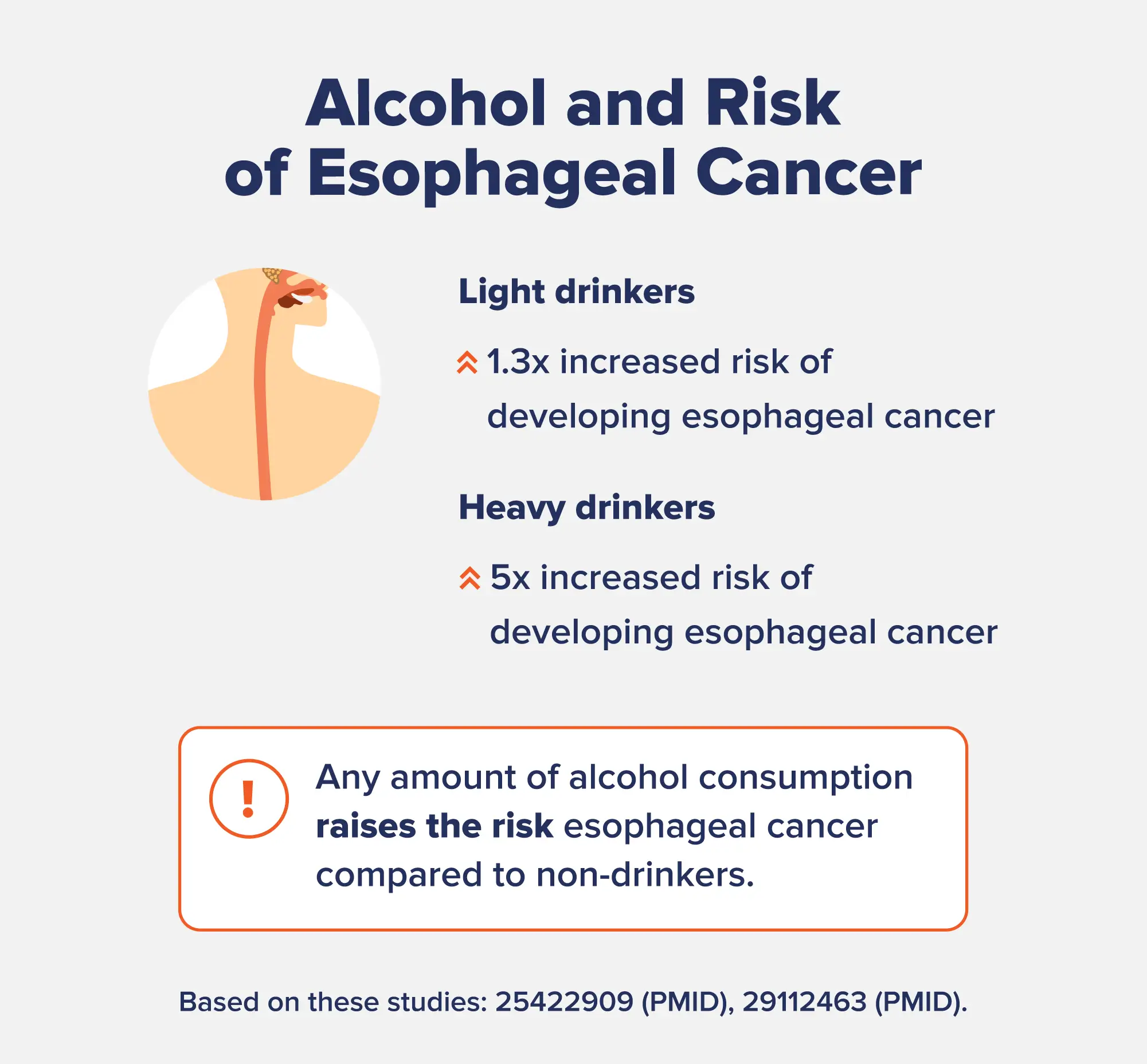 An infographic describing the relationship between Alcohol and Risk of Esophageal Cancer.