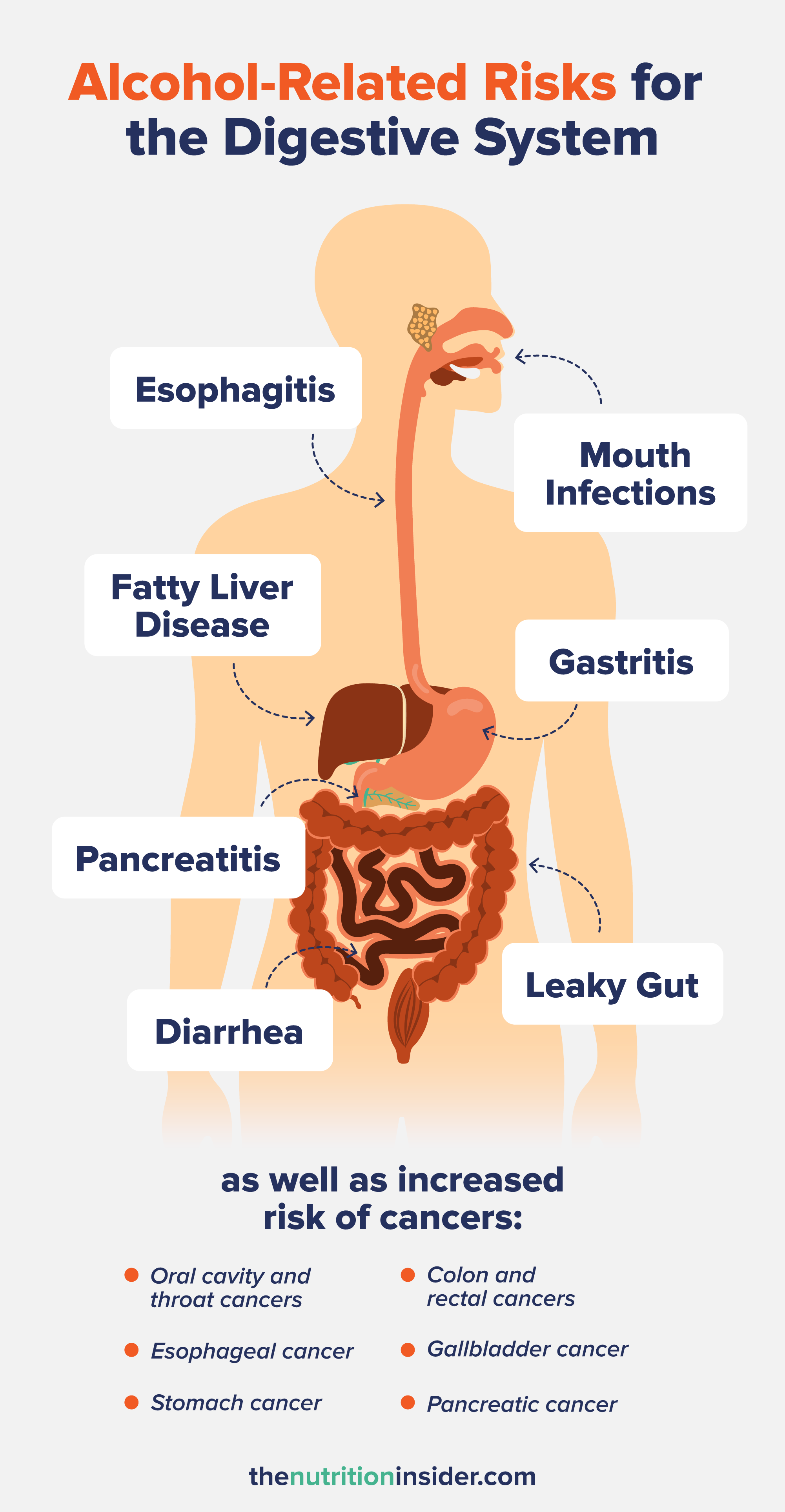 An infographic listing alcohol-related risks for the digestive system. 