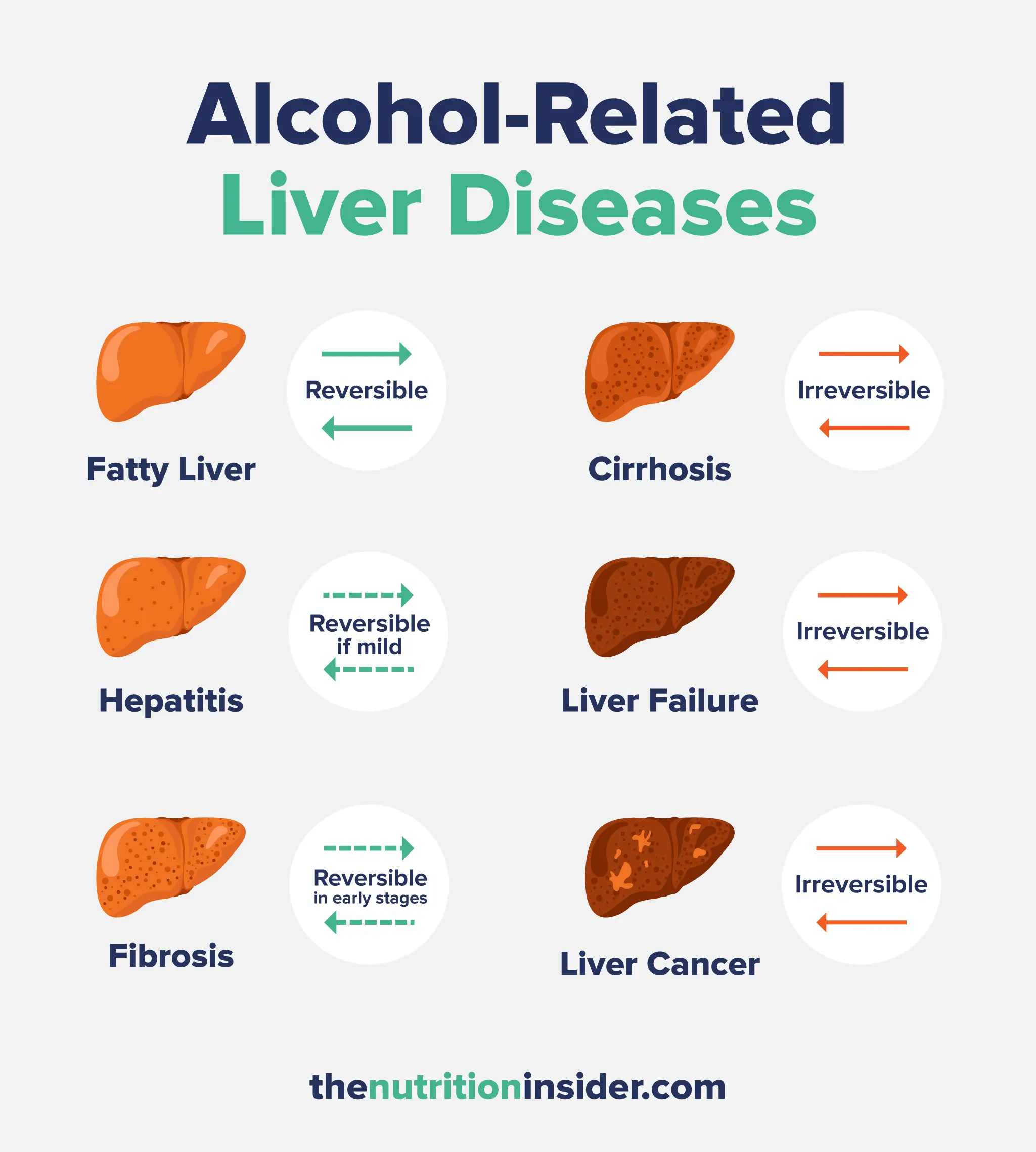 An infographic listing the reversible and irreversible ways alcohol affects the liver.