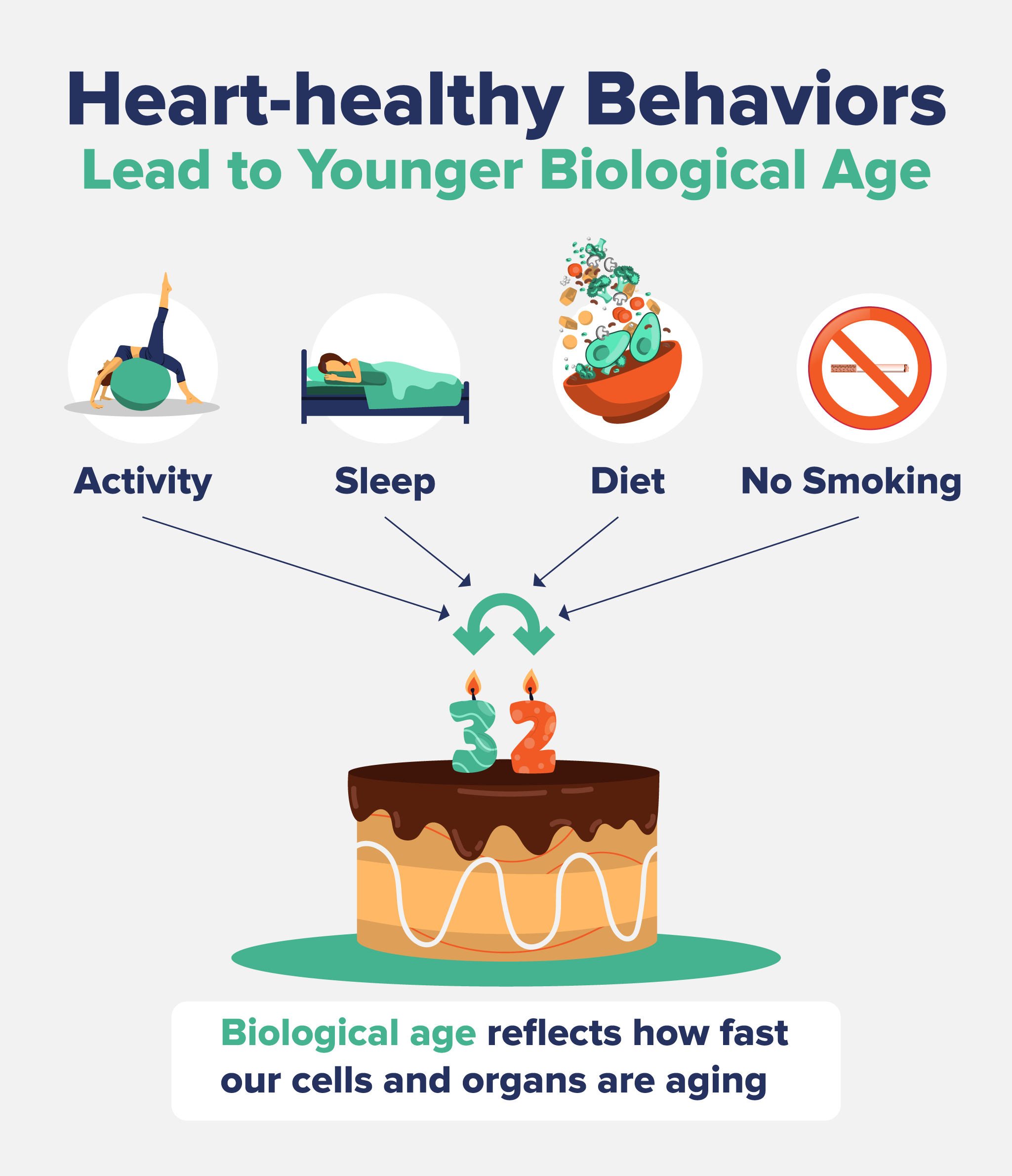 Infographic titled 'Heart-healthy Behaviors Lead to Younger Biological Age' with visuals representing four key healthy habits: activity, sleep, diet, and no smoking. These behaviors are shown to influence a younger biological age, depicted by a cake with '32' candles. The text below explains that biological age reflects how fast our cells and organs are aging.