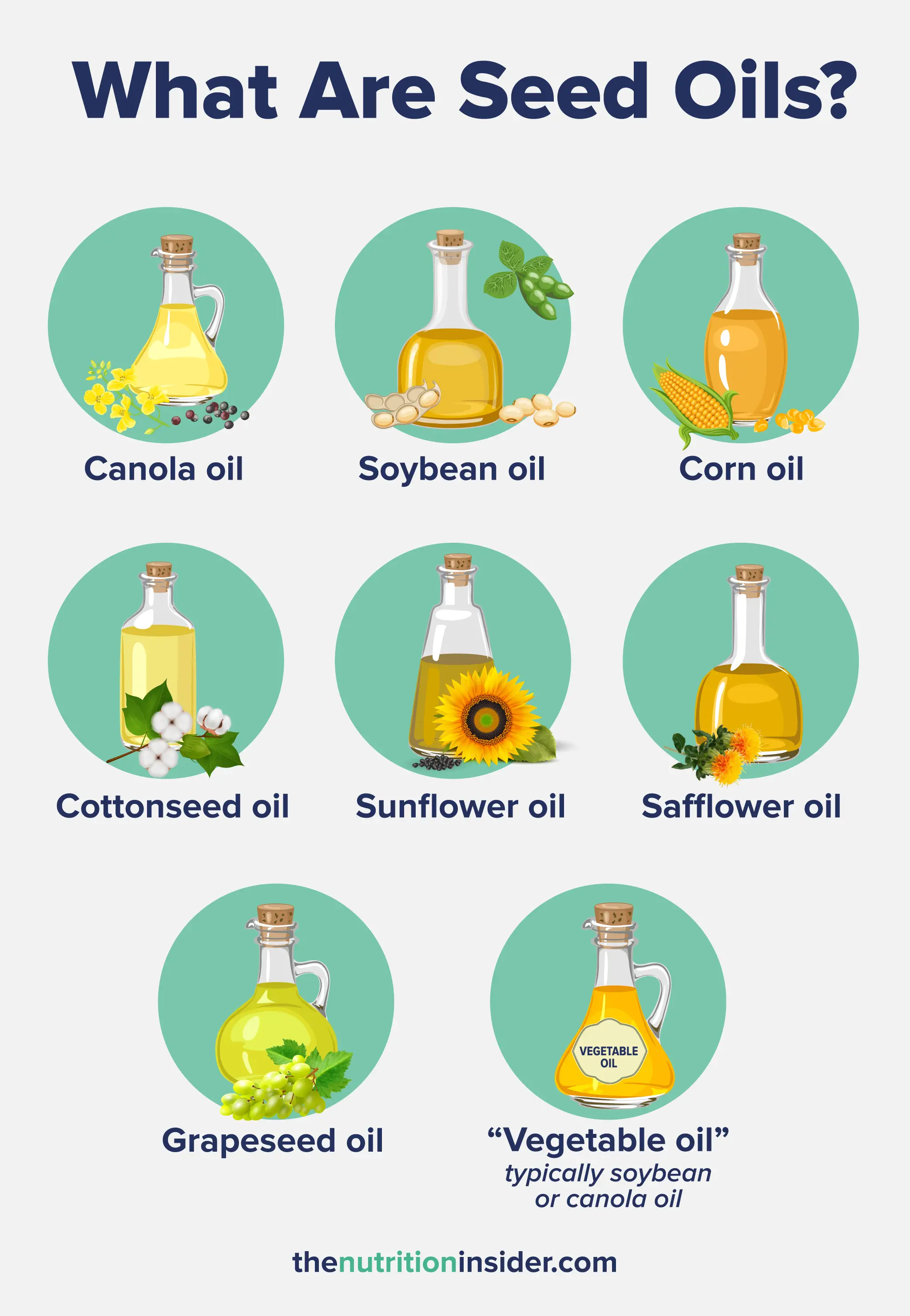 A custom graphic listing out the different types of seed oils available for consumption.