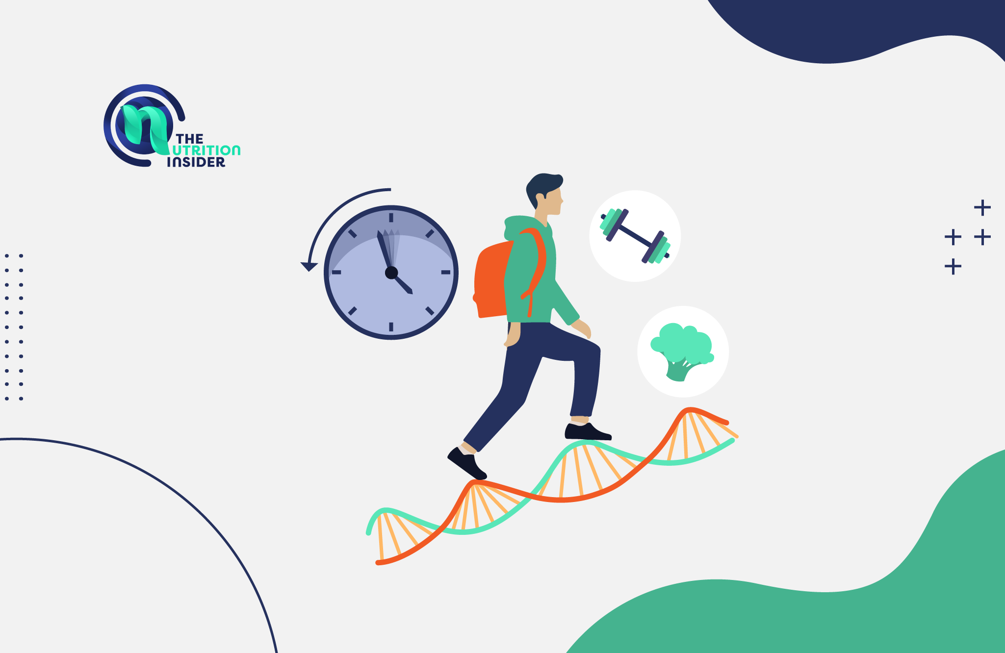 graphic with man walking up a DNA strand with icons of a clock, dumbbell, and broccoli head floating next to him