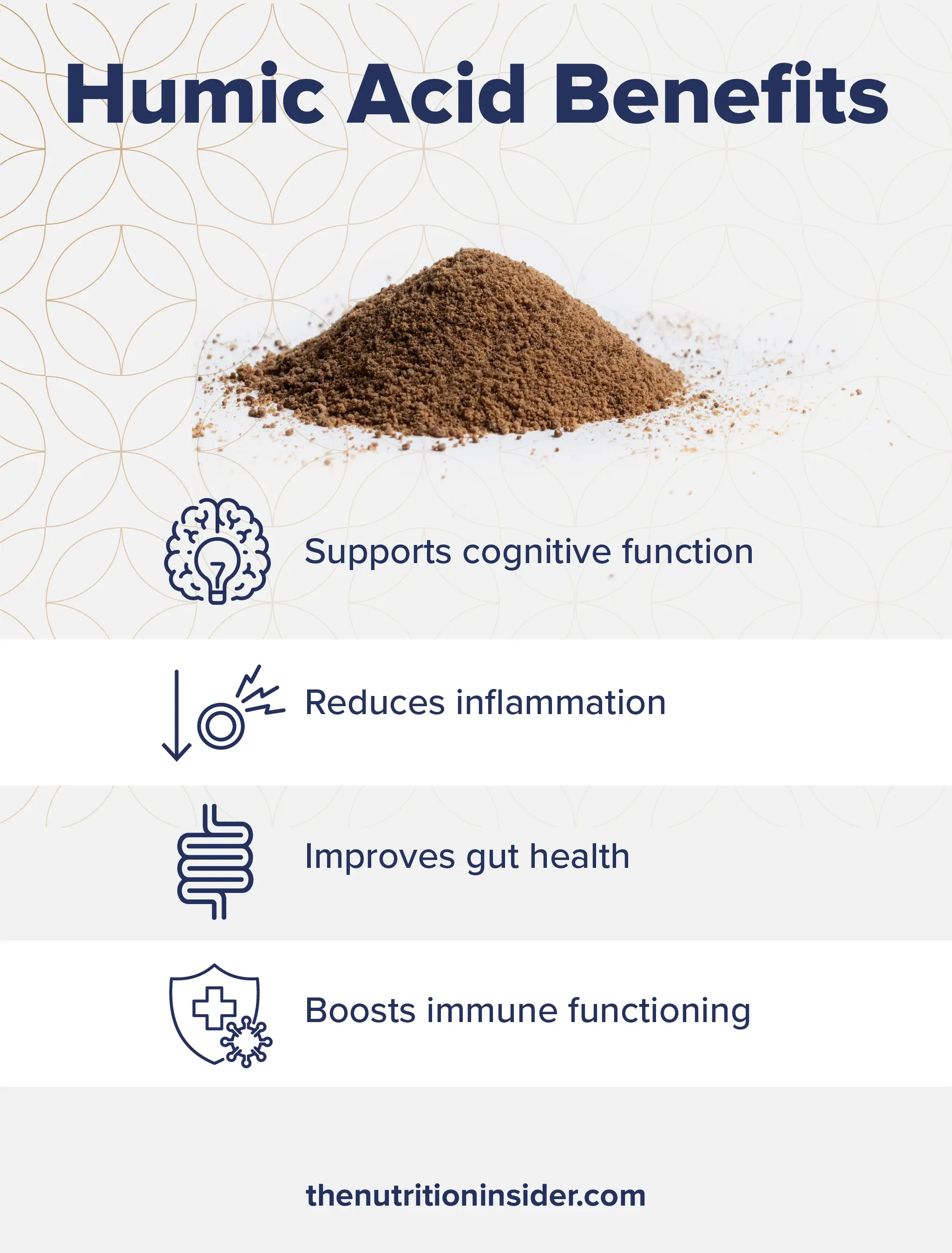 Shilajit Vs. Fulvic Acid What They Are Benefits for Gut Health and More Humic Acid Benefits 1 1