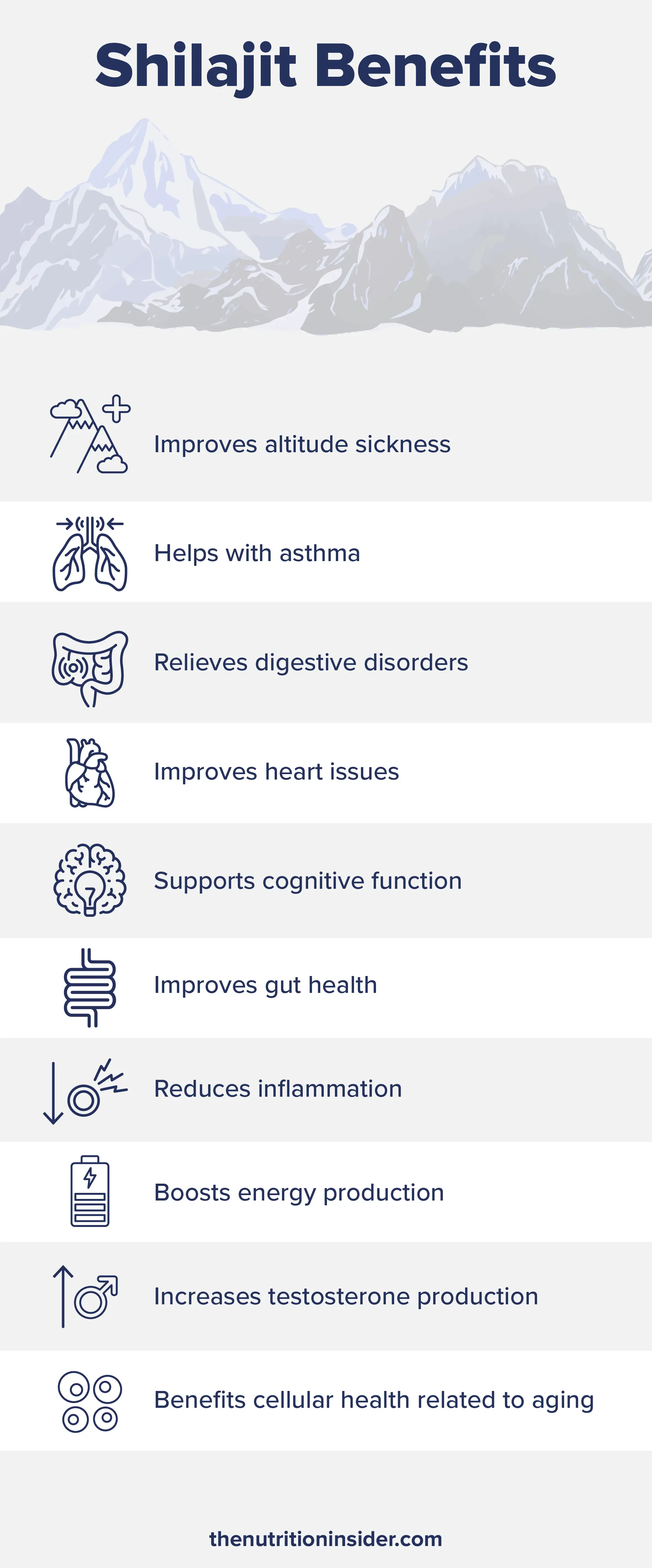 A custom infographic detailing the benefits of shilajit.