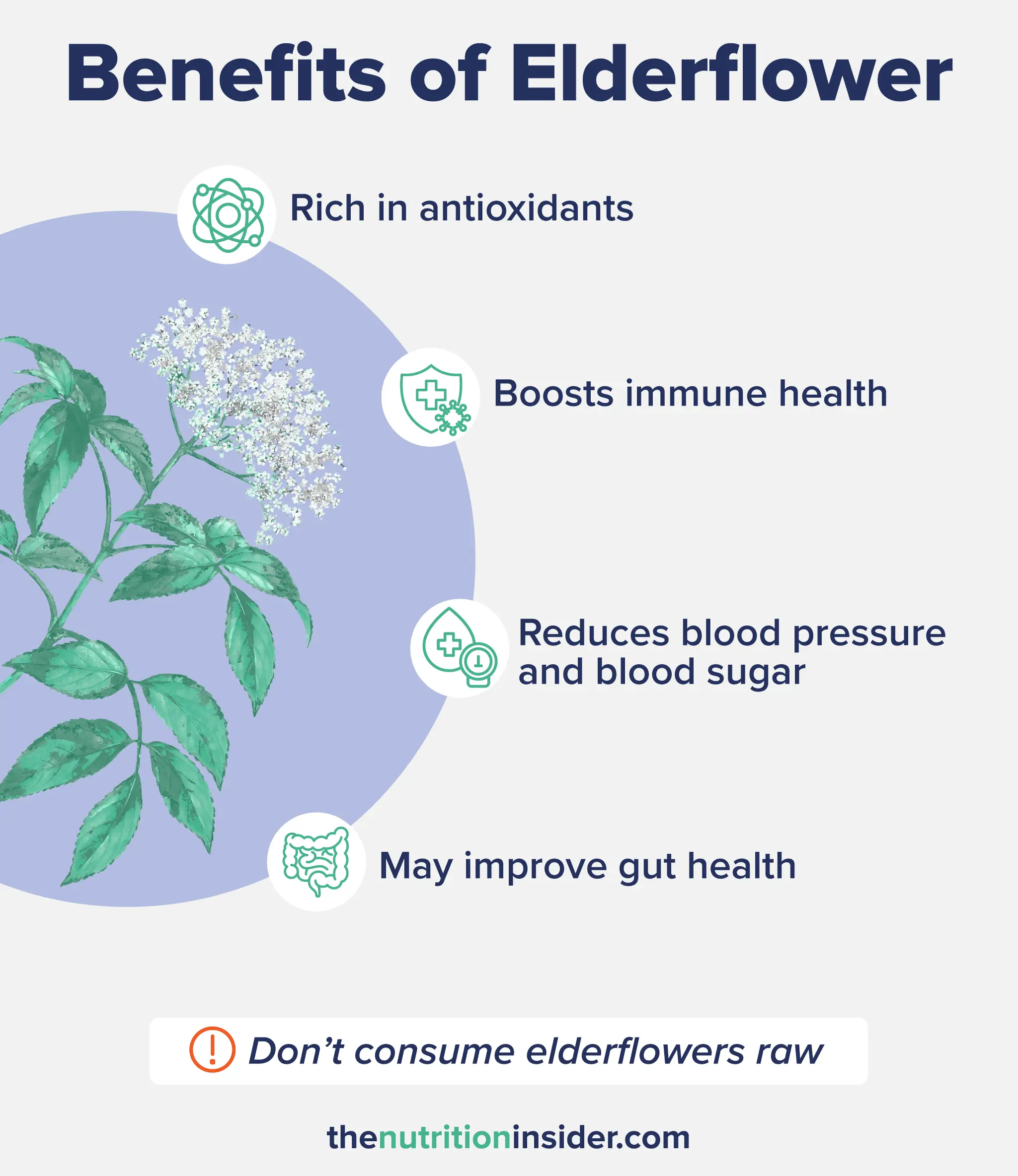 A custom graphic listing the benefits of Elderflower