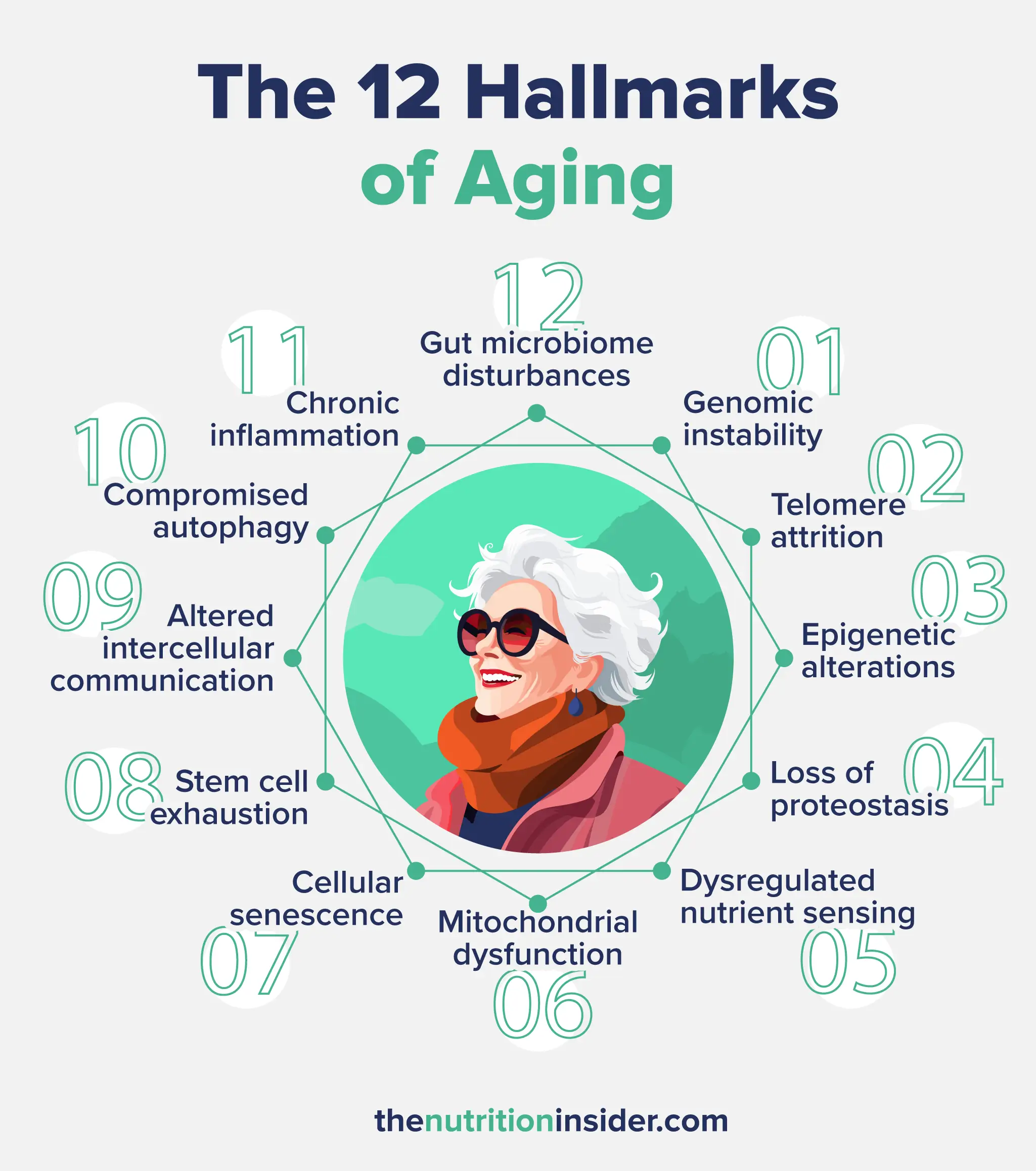 Why do we age graphic image showing the 12 hallmarks of aging