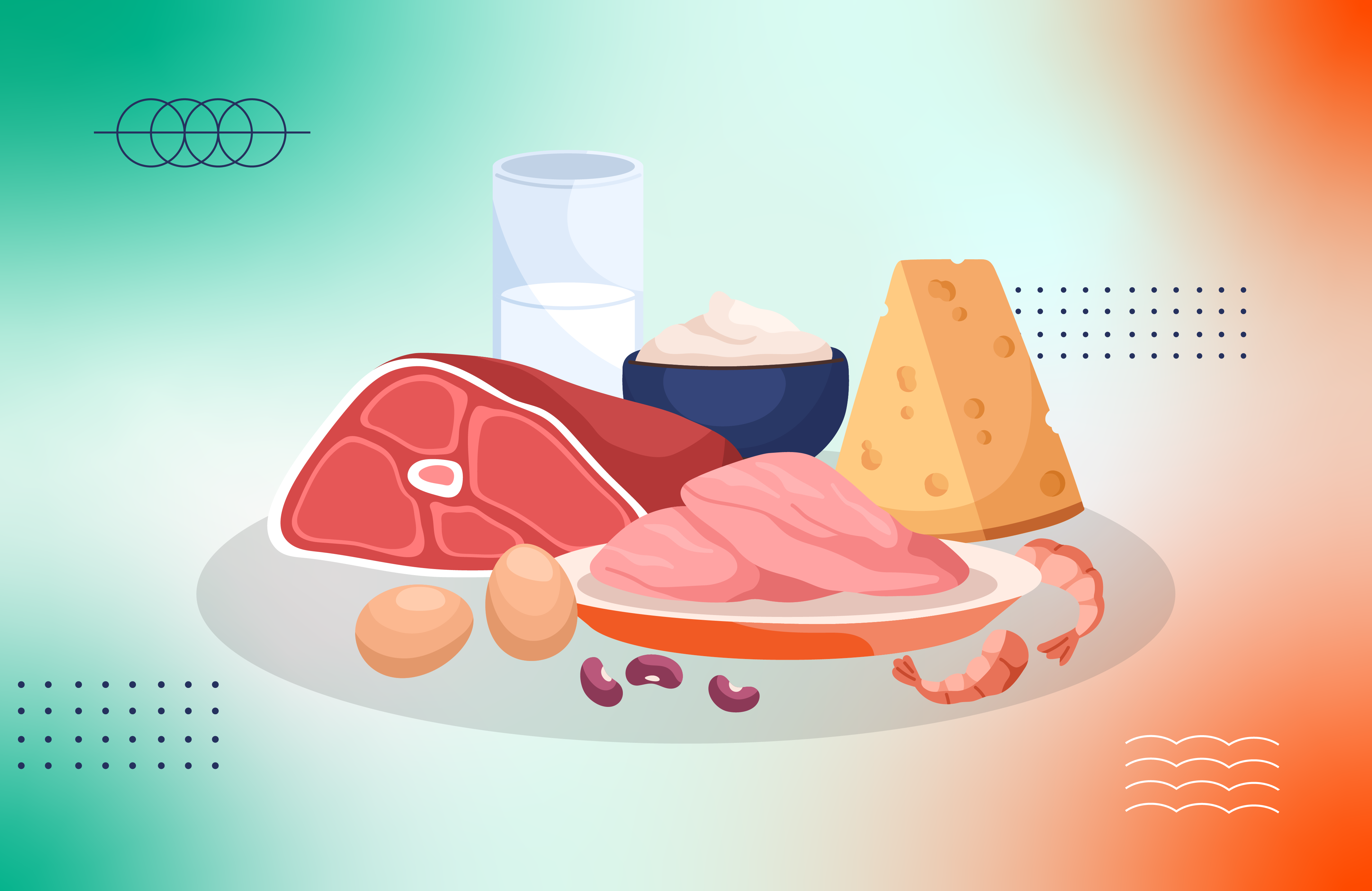Carnivore Diet Meal Plan for Beginners